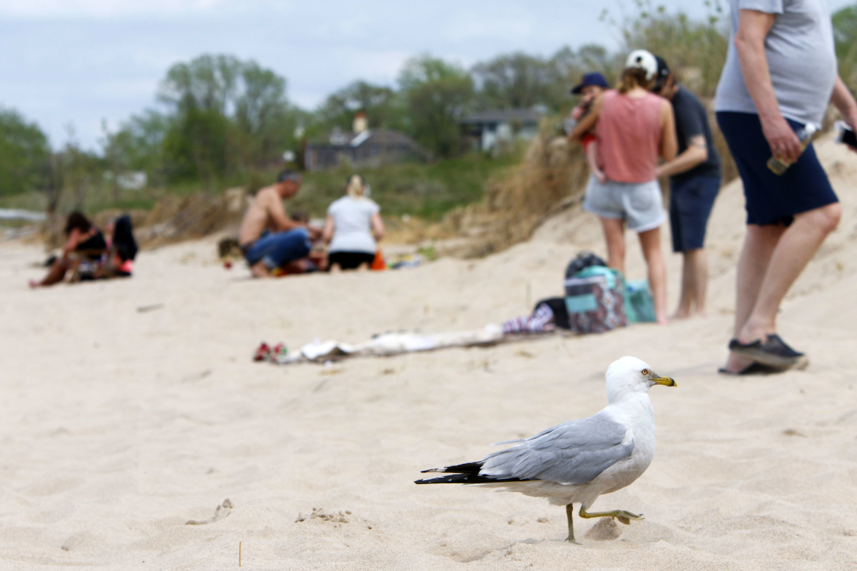 Memorial Day weekend at Marquette Park